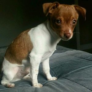 Meet your Posher, Carin